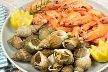 assiette de crevettes et bulots, en gros plan