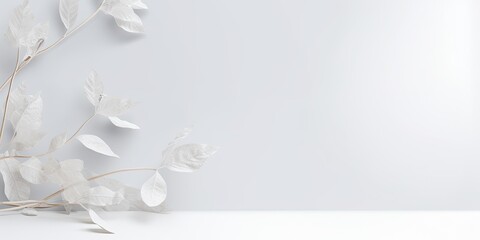 Minimal white studio overlay with abstract leaf and flower textures on an empty table backdrop.