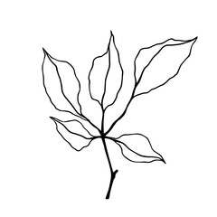 Linear sketch, outline of a branch with foliage. Vector graphics.