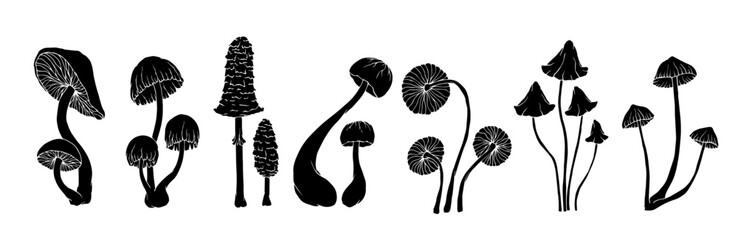 Collection of silhouettes and stamps of wild mushrooms and toadstools. Vector graphics.