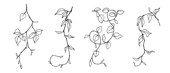 Collection of linear sketches, contours of various branches with foliage. Vector graphics.