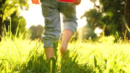 Enthusiastic son runs shoeless across lawn in meadow in summer time. Joyful son sprints barefoot...