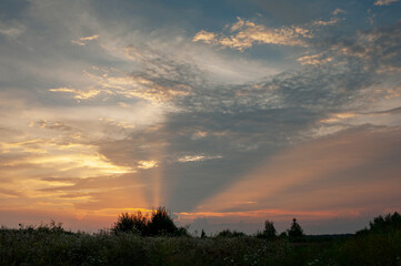 Naklejka na ściany i meble Beautiful sunset over a blooming field near the highway;