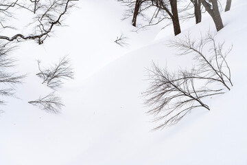 雪原のイメージ