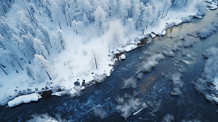 Flying in winter over a swamp covered with forest
