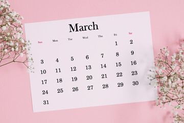 March 2024 desk calendar and flowers, a branch of gypsophila on pink table. Flat lay, top view