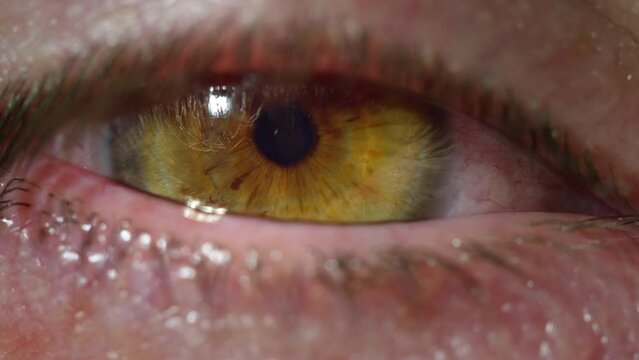 Macro details of a tired male hazel tone eye blinking and looking at the camera, extreme close-up shot. Awaking and mirror of a soul and thoughts concepts.