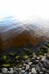 The tannin stained brown water of the St. Johns River in Florida lapping against a rocky shoreline