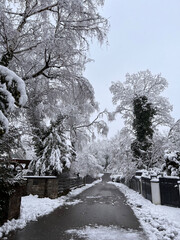 Snow chaos in Bavaria: street and gardens covered in snow, fallen trees