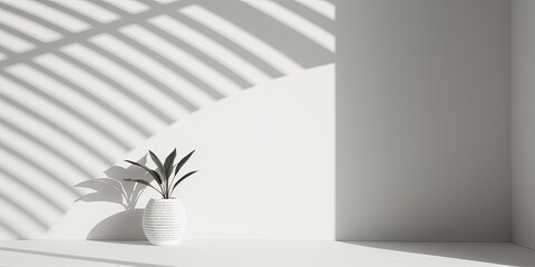 Minimal white interior with geometric patterns and shadows.