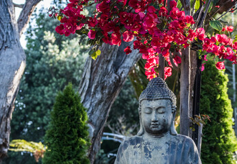 Buddha in the blossoming garden