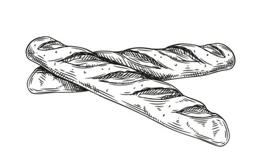 Bakery product sketch. Homemade pastry. Two baguettes. Sticker for social networks. Assortment for bakery and street cafe. Doodle flat vector illustration isolated on white background