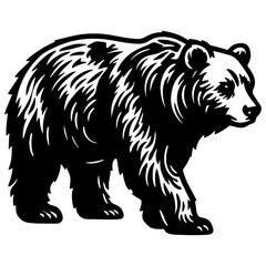 Bear Sketch Drawing.