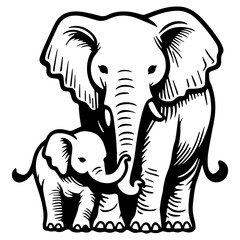 Fototapeta premium Elephant Sketch Drawing.