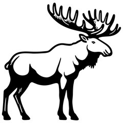 Moose Elk Sketch Drawing.