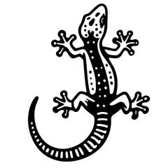 Gecko Sketch Drawing.