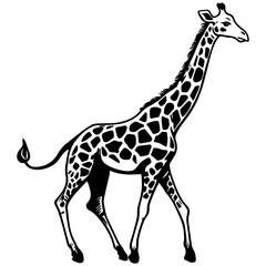 Giraffe Sketch Drawing.