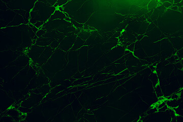 Dark green neon marble banner abstract stone background. Texture of the stone. Close-up. Dark rock grunge backdrop with copy space