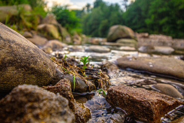 a rocky bank by the river, a river flowing in the mountains
