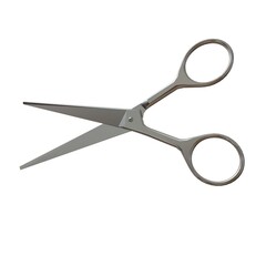 Retro Metal Professional Tailor Silver Scissors on a White Background