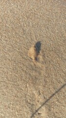 Sand. Fish.