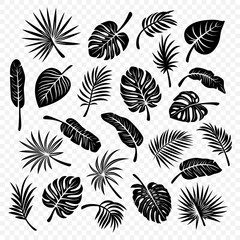 Tropical Leaf Silhouettes. Flat Vector Black and White Cutout Style Monstera, Ficus, Banana Leaf, Dracaena, Sabal Palm Leaves Collecton, Isolated. Design Templates for Home Decor, Invitations, Prints