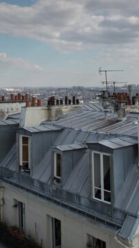 paris rooftops skyline in vertical 