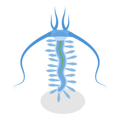 3D Isometric Flat  Set of Varieties Of Plankton. Item 4