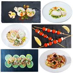 Assorted squid and cuttlefish dishes on a white background. High quality photo