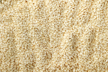 Raw White Sesame  Seed Food Background