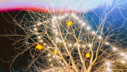 Glowing Christmas lights on bare tree outdoors in winter. Xmas decor background. Abstract Christmas...