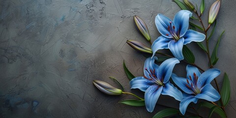 Blue lily flower on stone background with copy space- SPA design background