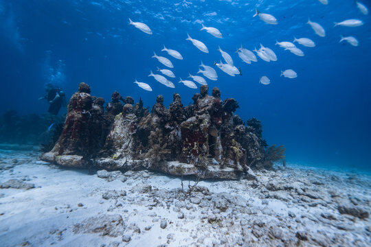 artificial Museum isla mujeres in artificial reef underwater at caribbean MUSA