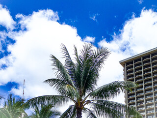 Fototapeta na wymiar ハワイ・ホノルルでのホテル生活