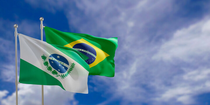 Official flags of the country Brazil and federal state of Parana. Swaying in the wind under the blue sky. 3d rendering