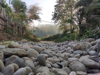 rocks in the river