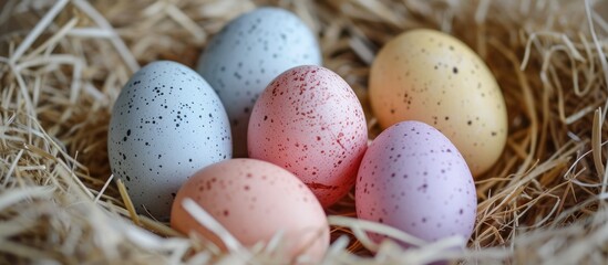 Naklejka na ściany i meble Pastel easter eggs arranged in a hay nest.