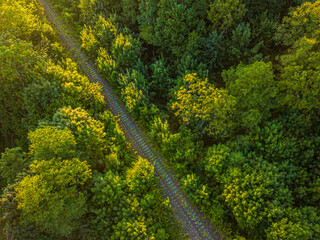 view from above of the railway tracks located in a green forest, view from a drone
