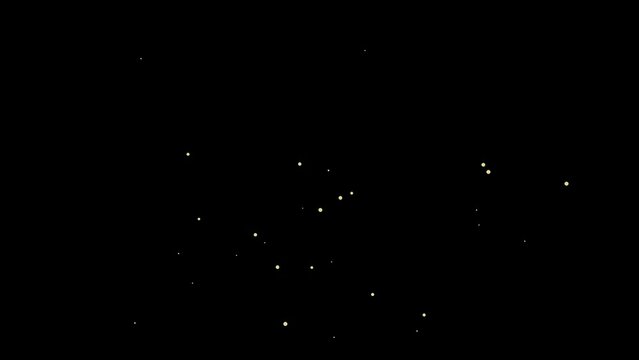 蛍のアニメーション