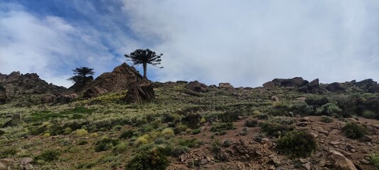 clouds over the mountain