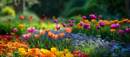 Fotobehang Beauty: A Garden of Beautiful Flowers in Harmony with Nature's Serenity © TheWaterMeloonProjec