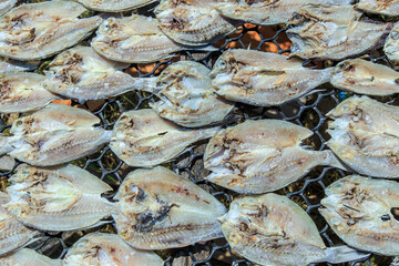 Dried salted fish in open space at Maiga island, an island mainly inhabited by sea Bajau.