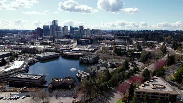 Bellevue Sunny Day Drone Shot in Washington State