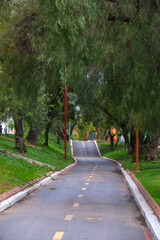 pedestrian path, urban cyclist, with a small rise on the horizon surrounded by trees