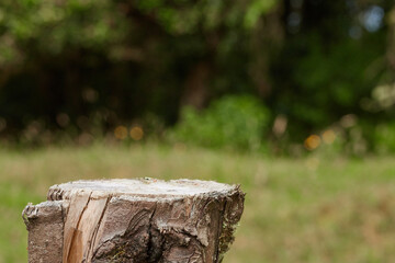 Background and wooden base ideal for displaying products  