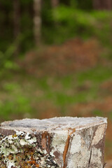 Background and wooden base ideal for displaying products  