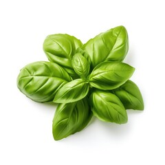 Fresh basil leaves isolated on a white background, perfect for culinary designs, Ai Generated.