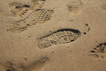 
shoe prints on the sand