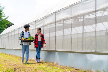 Happy teenage boy and girl growing organic vegetable on agriculture farm field in greenhouse garden. Diversity young people student learning nature and gardening healthy food for sustainable living.