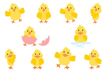 Easter chicks  and ducklings - 728181830